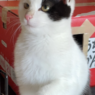 ありがとうございました★甘えん坊のテレンス君