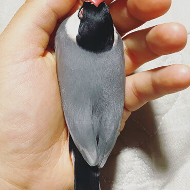 の写真