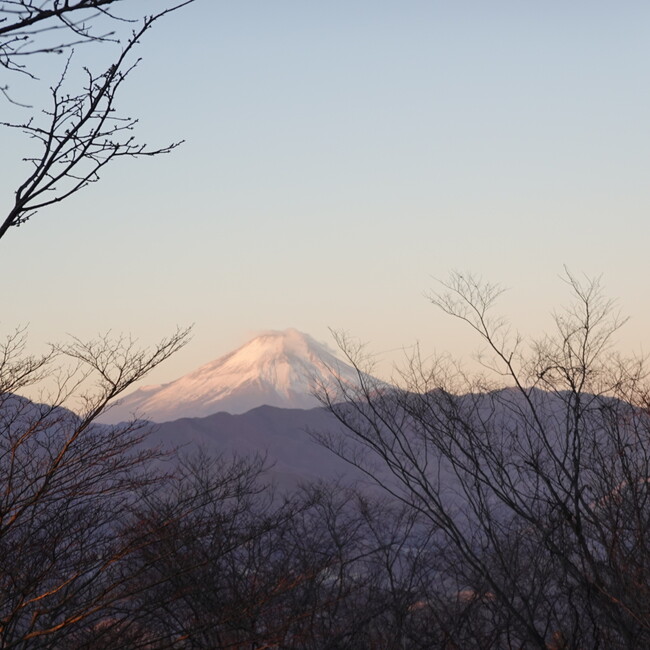 beer beerのカバー写真