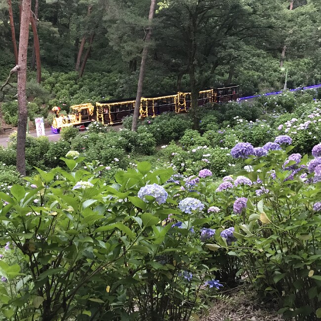 akamのカバー写真