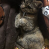 甘えん坊なここちゃん サムネイル2