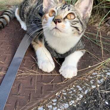 の写真