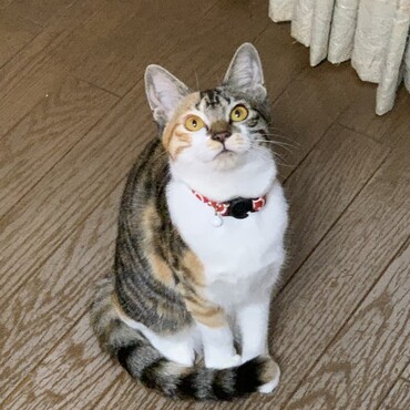 の写真