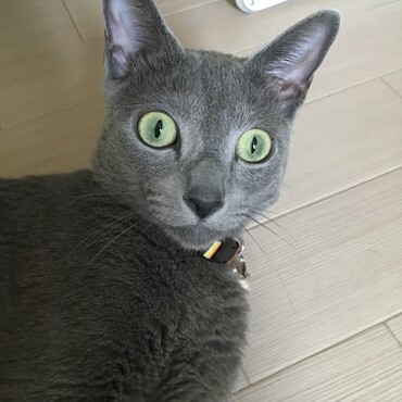の写真