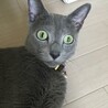 の写真