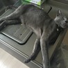 の写真