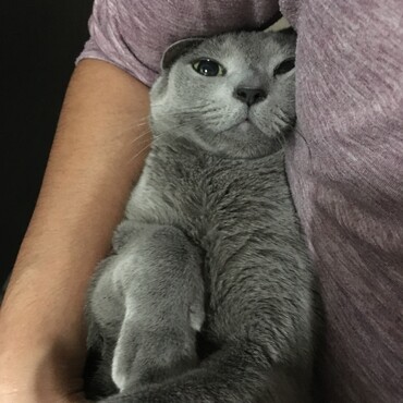 の写真