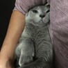 の写真