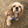 5ヶ月になりました！
