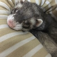 まる
