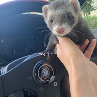 あも