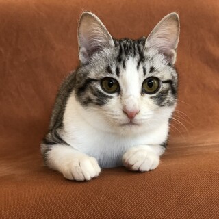お問合せがあり一旦停止中です。