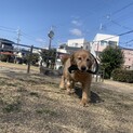 [募集ストップ]25日17時　超穏やかな女の子