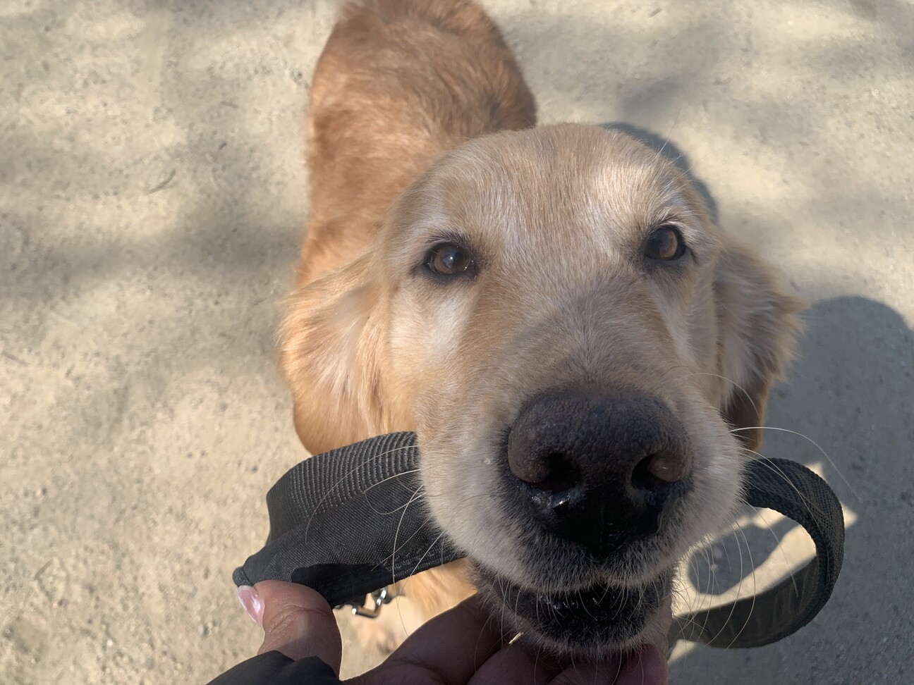 [募集ストップ]25日17時　超穏やかな女の子 サムネイル2