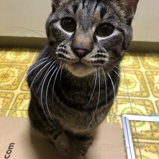 甘えん坊さん♡自由くん