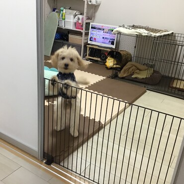 の写真
