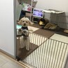 の写真
