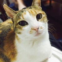 みぃ