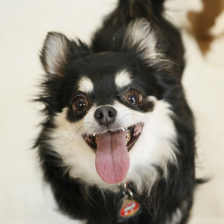 良いご縁に繋がりました