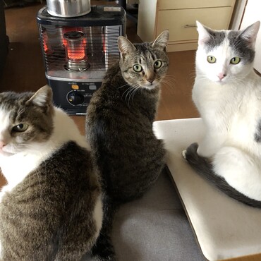 左から　ミグ　ステルス　ミラージュ