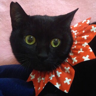 【2/28東銀座】麦ちゃん９ヵ月♪