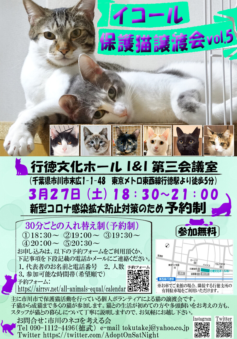 千葉県市川市 イコール あずかりねこのへやのイベント 11752 ペットのおうち 月間利用者150万人