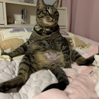 うに