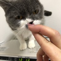 ゆきみ
