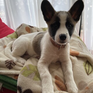 【募集一時停止】4ヶ月くらい☆長崎県限定募集です