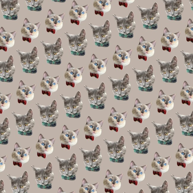 桃野菜のカバー写真