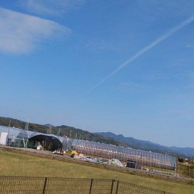 BURU8989のカバー写真