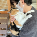 のんびり平和な三毛猫☆ちょっとツンデレ
