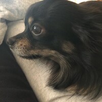 くろ