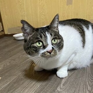 おっとりマイペースな女の子空ちゃん