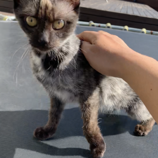 大量に捨てられていました…お利口さんです