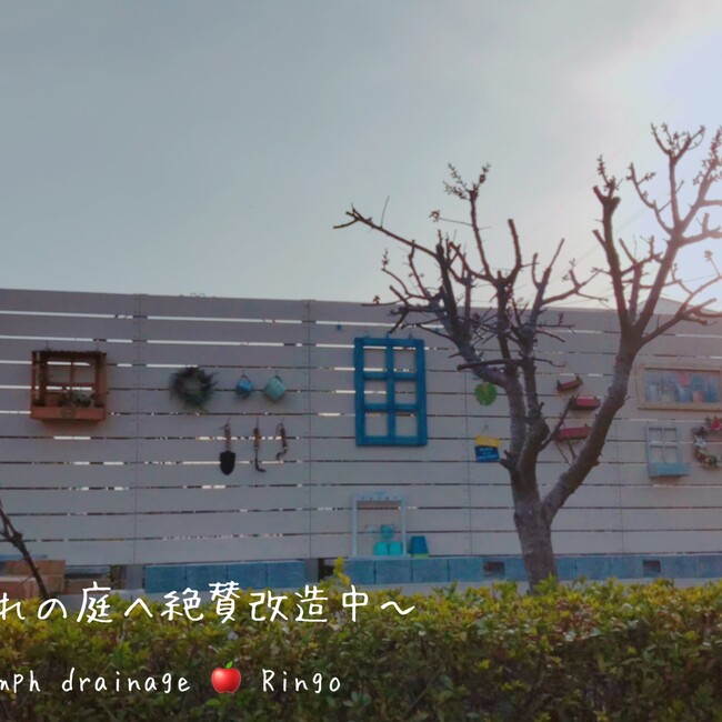 りんごのりょんりょんのカバー写真