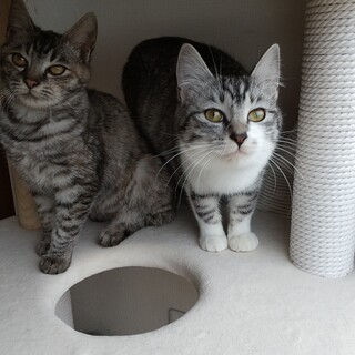 ベタベタ甘えん坊の6ヶ月の女の子