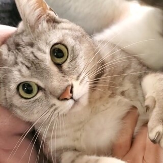 動画★エイズっ子★元気と笑いをお届けします