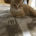 甘えん坊な男の子