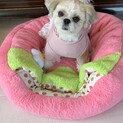 ありがとうございました