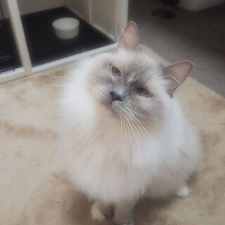 ハンディなんかに負けない！甘えん坊さんな女の子です