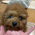 ご縁をいただきました。ありがとうございました。