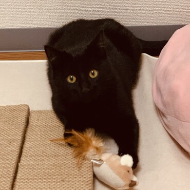 の写真