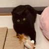 の写真