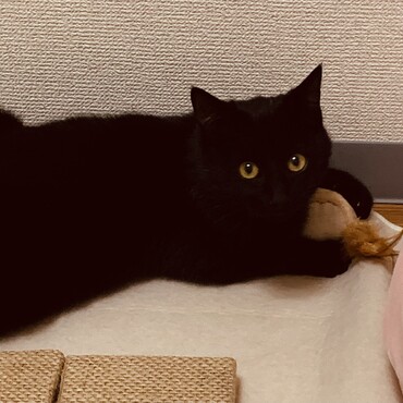 の写真