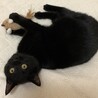 の写真