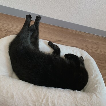 の写真
