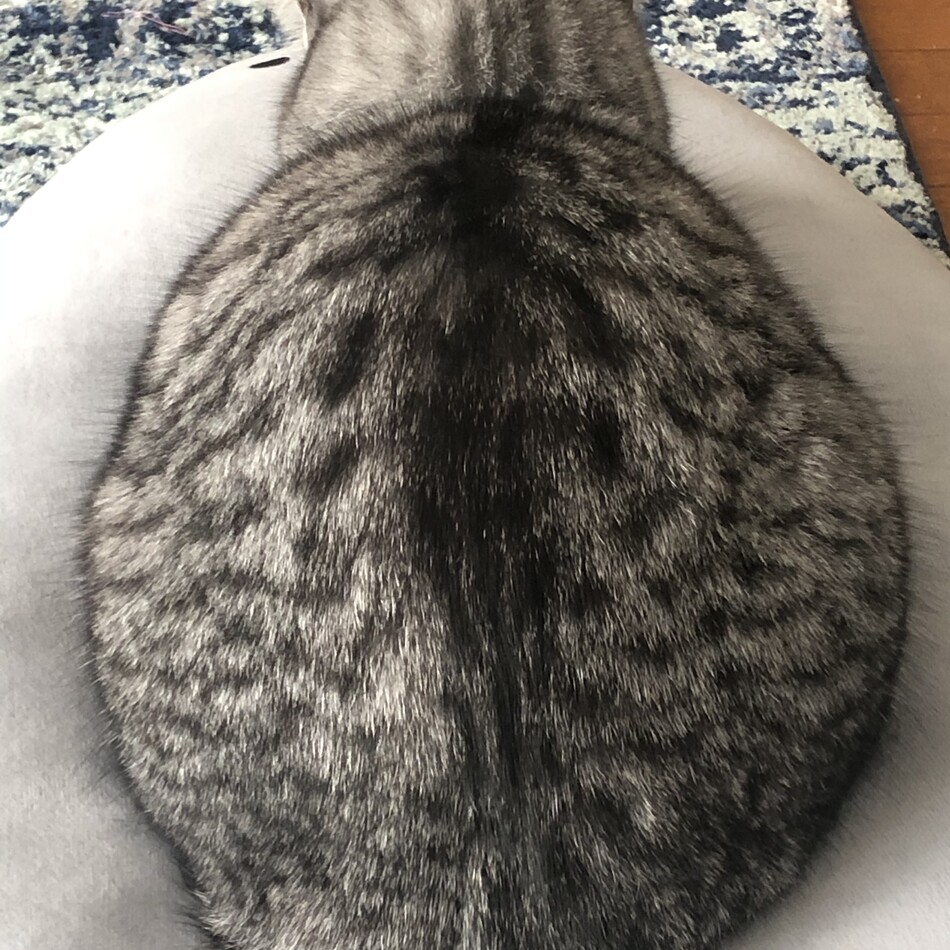 まそらのカバー写真