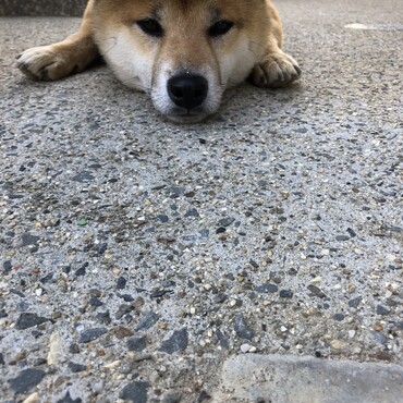 の写真