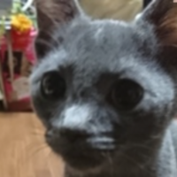 凛